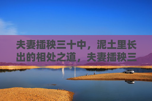 夫妻插秧三十中，泥土里长出的相处之道，夫妻插秧三十载，泥土里长出的相处之道