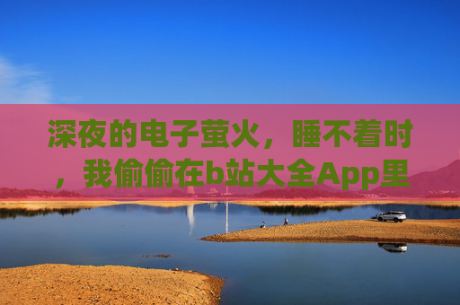 深夜的电子萤火，睡不着时，我偷偷在b站大全App里打捞时间，深夜电子萤火，b站打捞失眠时光