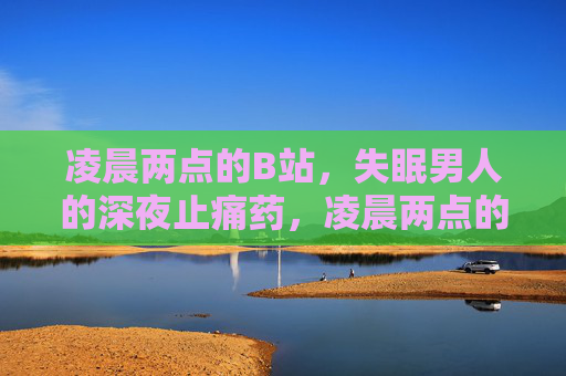 凌晨两点的B站,失眠男人的深夜止痛药,凌晨两点的B站,失眠男人的深夜止痛药 凌晨两点的B站,失眠男人的深夜止痛药,凌晨两点的B站,失眠男人的深夜止痛药