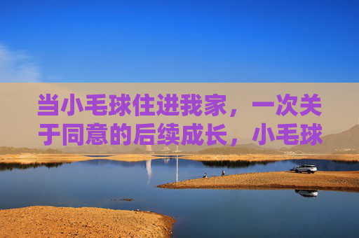 当小毛球住进我家，一次关于同意的后续成长，小毛球的同意成长记