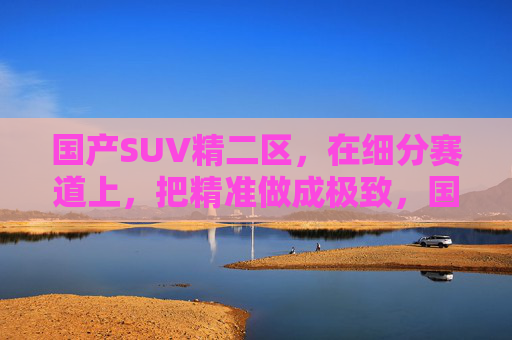 国产SUV精二区,在细分赛道上,把精准做成极致,国产SUV细分赛道,精准铸就极致 国产SUV精二区,在细分赛道上,把精准做成极致,国产SUV细分赛道,精准铸就极致