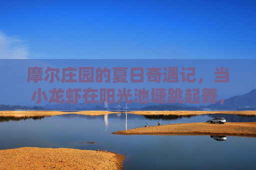 摩尔庄园的夏日奇遇记，当小龙虾在阳光池塘跳起舞，摩尔庄园夏日奇遇记，阳光池塘小龙虾起舞