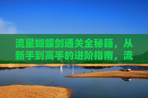 流星蝴蝶剑通关全秘籍，从新手到高手的进阶指南，流星蝴蝶剑通关全秘籍，新手到高手的进阶指南