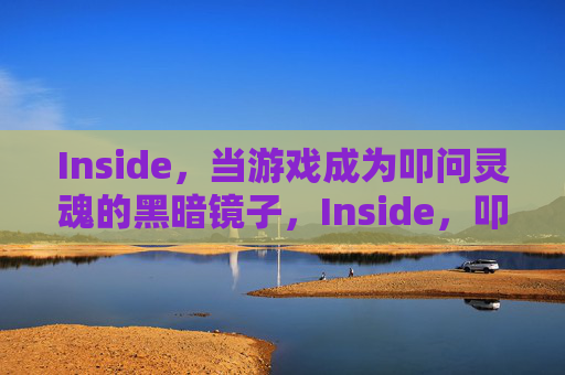 Inside,当游戏成为叩问灵魂的黑暗镜子,Inside,叩问灵魂的黑暗镜子 Inside,当游戏成为叩问灵魂的黑暗镜子,Inside,叩问灵魂的黑暗镜子
