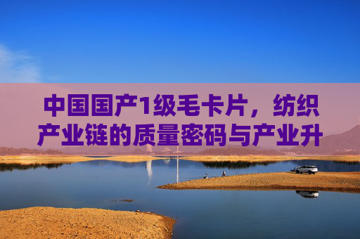 中国国产1级毛卡片,纺织产业链的质量密码与产业升级新引擎,国产1级毛卡片,纺织产业链质量密码与产业升级新引擎 中国国产1级毛卡片,纺织产业链的质量密码与产业升级新引擎,国产1级毛卡片,纺织产业链质量密码与产业升级新引擎
