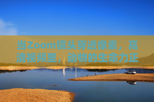 当Zoom镜头穿透像素,高清视频里,动物的生命力正扑面而来,Zoom穿透像素,动物生命力高清扑面而来 当Zoom镜头穿透像素,高清视频里,动物的生命力正扑面而来,Zoom穿透像素,动物生命力高清扑面而来