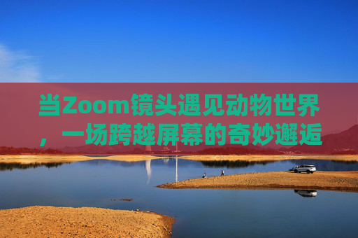 当Zoom镜头遇见动物世界,一场跨越屏幕的奇妙邂逅,镜头与动物,屏幕上的奇妙邂逅 当Zoom镜头遇见动物世界,一场跨越屏幕的奇妙邂逅,镜头与动物,屏幕上的奇妙邂逅