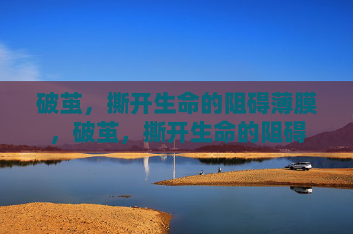 破茧,撕开生命的阻碍薄膜,破茧,撕开生命的阻碍 破茧,撕开生命的阻碍薄膜,破茧,撕开生命的阻碍
