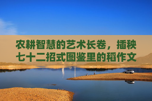 农耕智慧的艺术长卷,插秧七十二招式图鉴里的稻作文明,农耕智慧的艺术长卷,插秧七十二招式图鉴里的稻作文明 农耕智慧的艺术长卷,插秧七十二招式图鉴里的稻作文明,农耕智慧的艺术长卷,插秧七十二招式图鉴里的稻作文明