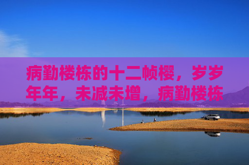 病勤楼栋的十二帧樱,岁岁年年,未减未增,病勤楼栋十二帧樱,岁岁年年未减增 病勤楼栋的十二帧樱,岁岁年年,未减未增,病勤楼栋十二帧樱,岁岁年年未减增