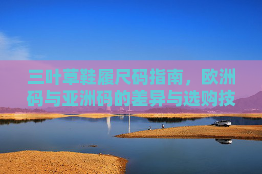 三叶草鞋履尺码指南，欧洲码与亚洲码的差异与选购技巧，三叶草鞋履尺码指南，欧亚码差异与选购技巧