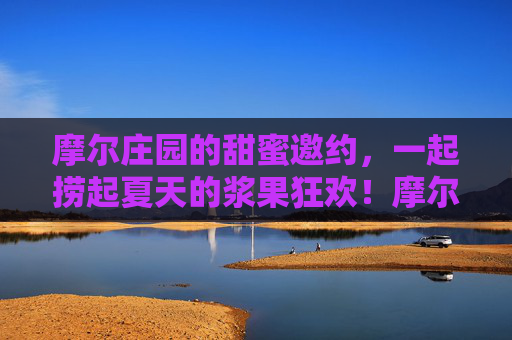 摩尔庄园的甜蜜邀约,一起捞起夏天的浆果狂欢!摩尔庄园夏日浆果狂欢甜蜜邀约 摩尔庄园的甜蜜邀约,一起捞起夏天的浆果狂欢!摩尔庄园夏日浆果狂欢甜蜜邀约