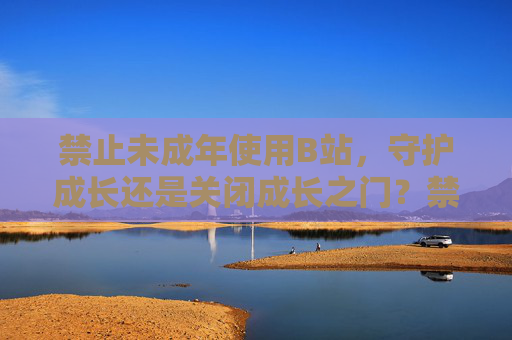 禁止未成年使用B站，守护成长还是关闭成长之门？禁止未成年人使用B站，守护成长还是关闭成长之门？