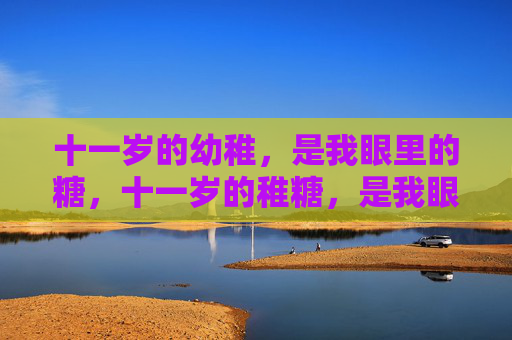 十一岁的幼稚，是我眼里的糖，十一岁的稚糖，是我眼里的甜