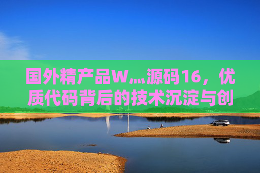 国外精产品W灬源码16，优质代码背后的技术沉淀与创新启示，国外精品源码，技术沉淀与创新启示