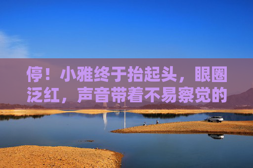 停！小雅终于抬起头，眼圈泛红，声音带着不易察觉的颤抖，阿哲，你……你这样拉，我的手指……真的很痛，停！他拉疼了她的手指