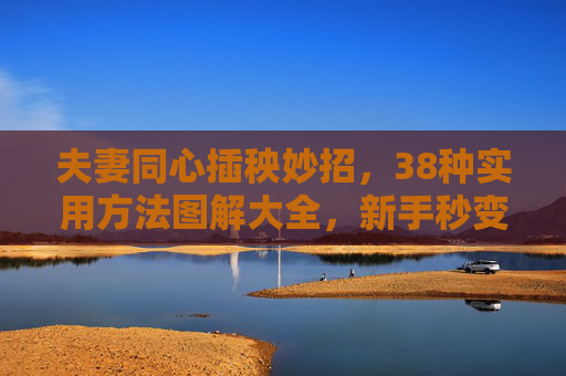 夫妻同心插秧妙招，38种实用方法图解大全，新手秒变老手！夫妻同心插秧妙招，38种图解方法，新手秒变老手！