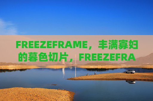 FREEZEFRAME，丰满寡妇的暮色切片，FREEZEFRAME，丰满寡妇的暮色切片
