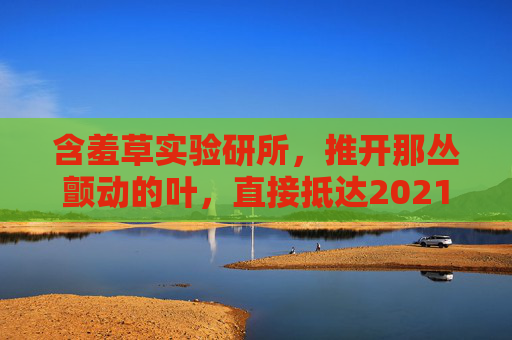 含羞草实验研所，推开那丛颤动的叶，直接抵达2021，含羞草实验研所，颤动叶间直抵2021