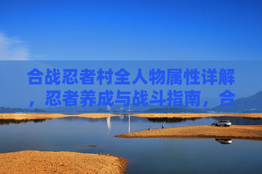 合战忍者村全人物属性详解,忍者养成与战斗指南,合战忍者村全人物属性详解及忍者养成战斗指南 合战忍者村全人物属性详解,忍者养成与战斗指南,合战忍者村全人物属性详解及忍者养成战斗指南