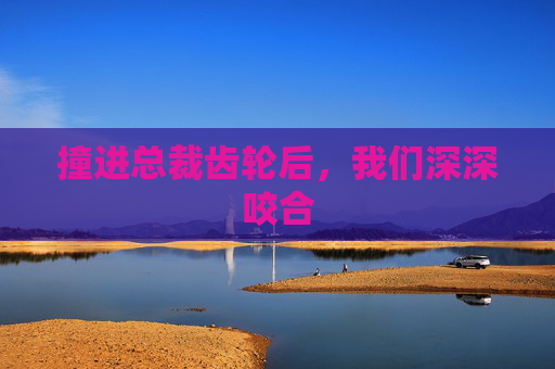 撞进总裁齿轮后,我们深深咬合 撞进总裁齿轮后,我们深深咬合