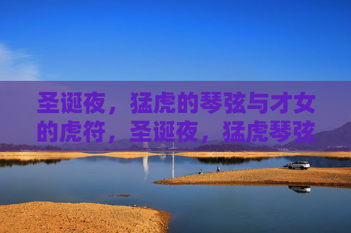 圣诞夜,猛虎的琴弦与才女的虎符,圣诞夜,猛虎琴弦与才女虎符 圣诞夜,猛虎的琴弦与才女的虎符,圣诞夜,猛虎琴弦与才女虎符