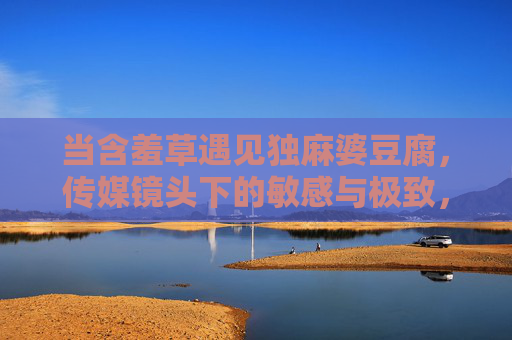 当含羞草遇见独麻婆豆腐，传媒镜头下的敏感与极致，镜头下的敏感与极致，含羞草遇见独麻婆豆腐