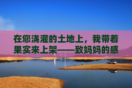 在您浇灌的土地上，我带着果实来上架——致妈妈的感言，您浇灌的沃土，我奉上硕果