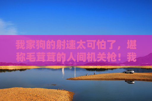 我家狗的射速太可怕了,堪称毛茸茸的人间机关枪!我家狗,毛茸茸的人间机关枪! 我家狗的射速太可怕了,堪称毛茸茸的人间机关枪!我家狗,毛茸茸的人间机关枪!