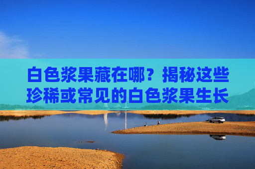 白色浆果藏在哪？揭秘这些珍稀或常见的白色浆果生长地，揭秘白色浆果的生长地，从珍稀到常见的藏身之处