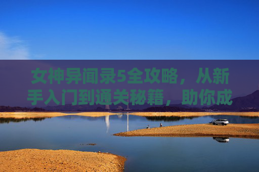 女神异闻录5全攻略,从新手入门到通关秘籍,助你成为心之怪盗团最强领袖,女神异闻录5全攻略,从新手入门到通关秘籍,助你成为心之怪盗团最强领袖 女神异闻录5全攻略,从新手入门到通关秘籍,助你成为心之怪盗团最强领袖,女神异闻录5全攻略,从新手入门到通关秘籍,助你成为心之怪盗团最强领袖