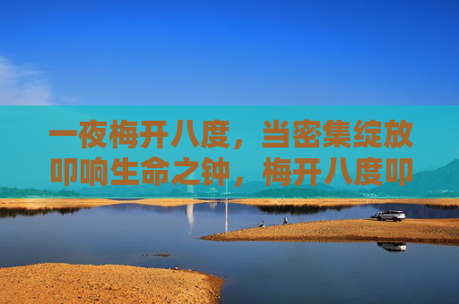 一夜梅开八度，当密集绽放叩响生命之钟，梅开八度叩响生命之钟
