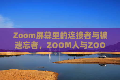 Zoom屏幕里的连接者与被遗忘者,ZOOM人与ZOOMWIDS的数字困境,Zoom双面困境,连接者与被遗忘者的数字迷局 Zoom屏幕里的连接者与被遗忘者,ZOOM人与ZOOMWIDS的数字困境,Zoom双面困境,连接者与被遗忘者的数字迷局