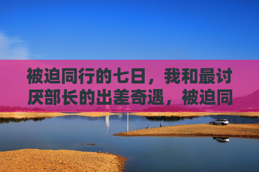 被迫同行的七日，我和最讨厌部长的出差奇遇，被迫同行的七日，与最讨厌部长的出差奇遇