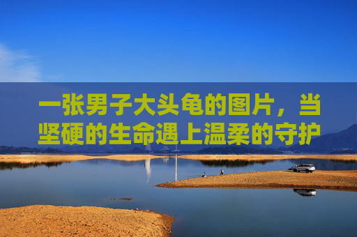 一张男子大头龟的图片，当坚硬的生命遇上温柔的守护，男子与大头龟，坚硬生命与温柔守护的相遇