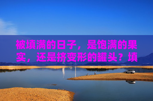 被填满的日子,是饱满的果实,还是挤变形的罐头?填满的日子,果实还是罐头? 被填满的日子,是饱满的果实,还是挤变形的罐头?填满的日子,果实还是罐头?