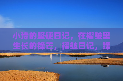 小诗的坚硬日记，在褶皱里生长的锋芒，褶皱日记，锋芒生长