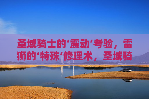 圣域骑士的‘震动’考验，雷狮的‘特殊’修理术，圣域骑士震动考验VS雷狮特殊修理术
