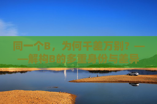 同一个B,为何千差万别?——解构B的多重身份与差异密码,同一个B,为何千差万别?——解构多重身份与差异密码 同一个B,为何千差万别?——解构B的多重身份与差异密码,同一个B,为何千差万别?——解构多重身份与差异密码