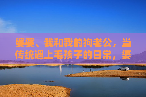 婆婆、我和我的狗老公,当传统遇上毛孩子的日常,婆婆、我和我的狗老公,传统与毛孩子的日常 婆婆、我和我的狗老公,当传统遇上毛孩子的日常,婆婆、我和我的狗老公,传统与毛孩子的日常