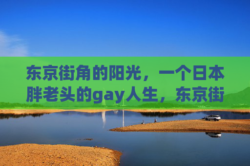 东京街角的阳光，一个日本胖老头的gay人生，东京街角的阳光，一个胖老头的gay人生