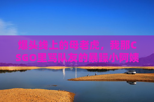 爆头线上的母老虎,我那CSGO里骂队友的暴躁小阿姨,CSGO爆头线母老虎,骂队友的暴躁小阿姨 爆头线上的母老虎,我那CSGO里骂队友的暴躁小阿姨,CSGO爆头线母老虎,骂队友的暴躁小阿姨