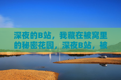 深夜的B站，我藏在被窝里的秘密花园，深夜B站，被窝里的秘密花园