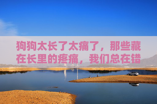 狗狗太长了太痛了,那些藏在长里的疼痛,我们总在错过,长身狗狗的隐痛,总被我们错过 狗狗太长了太痛了,那些藏在长里的疼痛,我们总在错过,长身狗狗的隐痛,总被我们错过