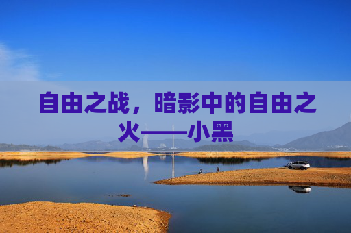 自由之战，暗影中的自由之火——小黑
