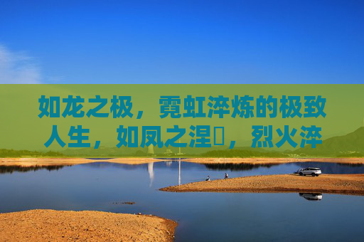 如龙之极,霓虹淬炼的极致人生,如凤之涅槃,烈火淬炼的不朽传奇 如龙之极,霓虹淬炼的极致人生,如凤之涅槃,烈火淬炼的不朽传奇