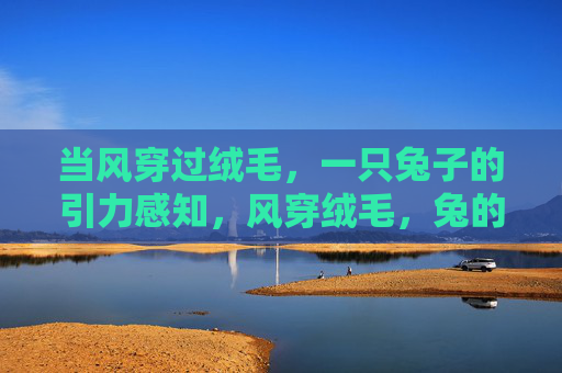 当风穿过绒毛,一只兔子的引力感知,风穿绒毛,兔的引力感知 当风穿过绒毛,一只兔子的引力感知,风穿绒毛,兔的引力感知