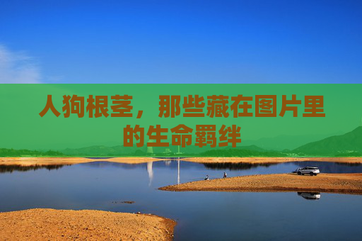 人狗根茎,那些藏在图片里的生命羁绊 人狗根茎,那些藏在图片里的生命羁绊