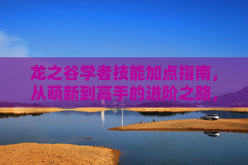 龙之谷学者技能加点指南,从萌新到高手的进阶之路,龙之谷学者技能加点进阶指南 龙之谷学者技能加点指南,从萌新到高手的进阶之路,龙之谷学者技能加点进阶指南