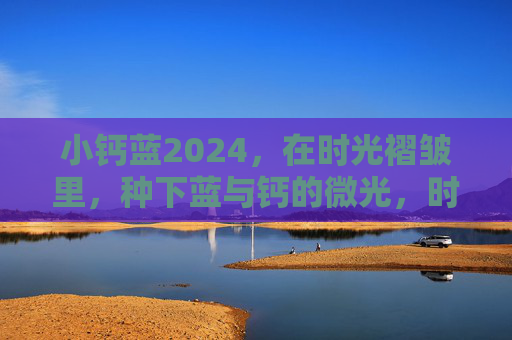 小钙蓝2024，在时光褶皱里，种下蓝与钙的微光，时光褶皱里，小钙蓝种下蓝钙微光